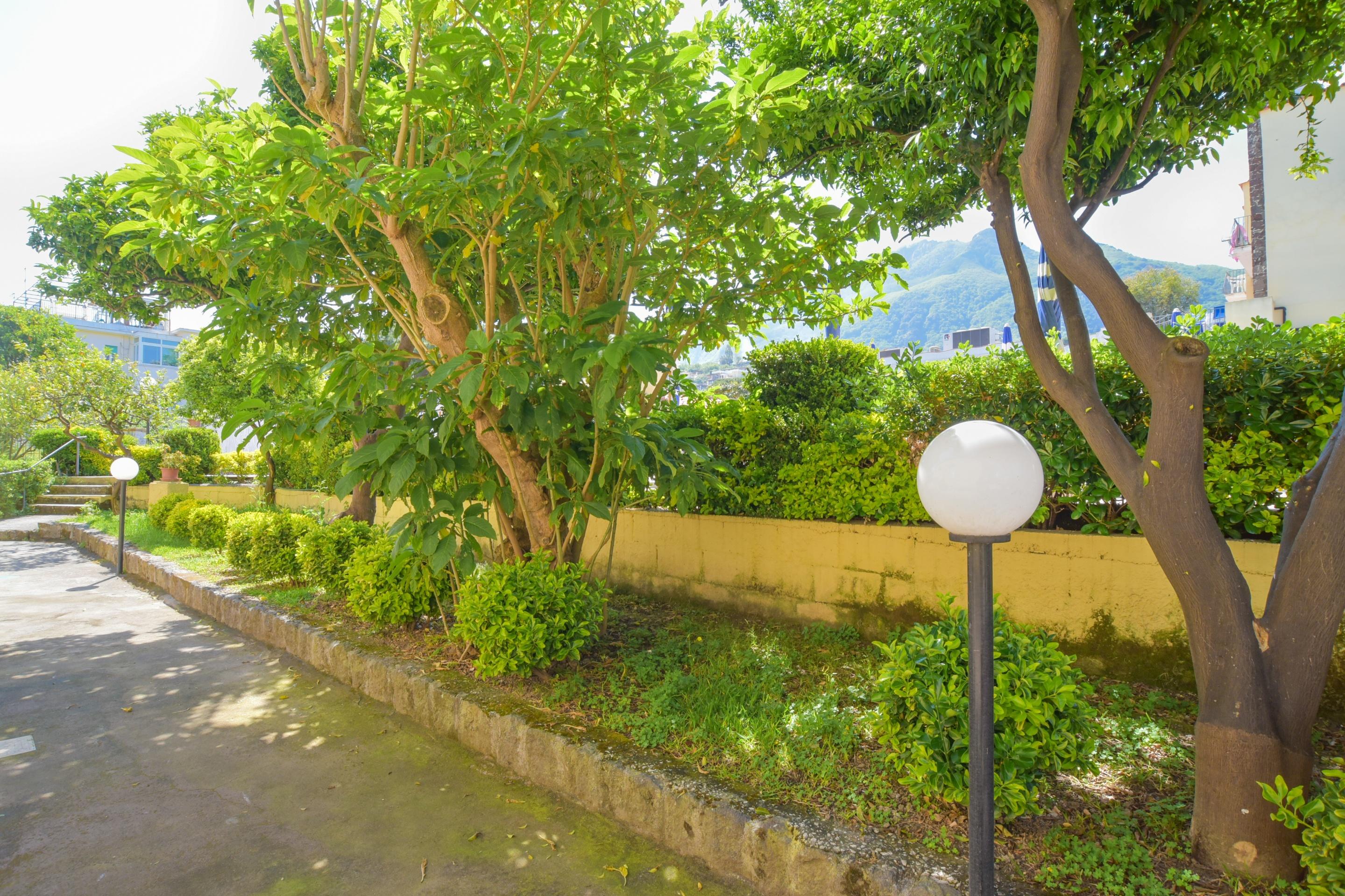 Hotel Terme Principe Lacco Ameno  Ngoại thất bức ảnh